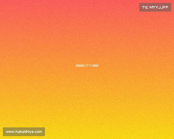 安联球场赛事 2017;安联足球